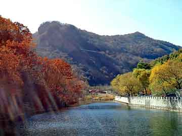 管家婆黑白马报图库，洛浦seo培训